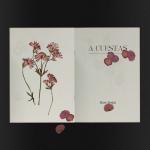 album image A cuestas A cuestas - Single