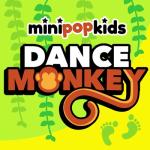 album image Dance Monkey Dance Monkey - Single