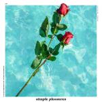 album image Limi - Simple Pleasures Simple Pleasures (feat. Shaker) - Single