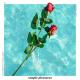 @hotmusictop - Limi - Simple Pleasures