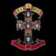 Guns N' Roses - Sweet Child O' Mine