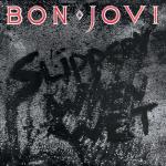 album image You Give Love A Bad Name Slippery When Wet
