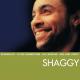 Shaggy - BOOMBASTIC (Sting Remix)