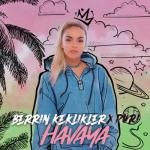 album image Havaya Havaya - Single