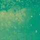 Bass Music, Dubstep, Psydub - Spec and Fuho - Ain't Easy Being Green ( Trap Hip Hop Bass Music Dubstep & Psy Dub )
