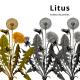 Litus - Ningú Es Mor D'Amor