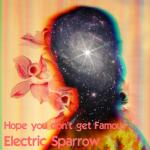album image Hope You Don't Get Famous Hope You Don't Get Famous - Single