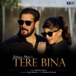 album image Tere Bina Tere Bina - Single