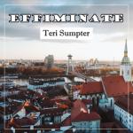 album image Armanym bolup