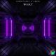 Rnbstylerz & AREES - WHAT (TikTok remix)