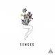 Ash - Senses