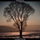 Your Dimension - Alan Walker - The True Leader