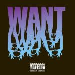 album image Star Struсk Want