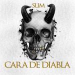 album image Tavisufleba ( სალი ბეთლი - თავისუფლება) Cara de Diabla - Single
