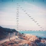 album image yeke sensiz