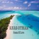Anas otman - Anas otman Ocean Of Love