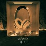 album image Señorita Señorita (8D Audio) - Single