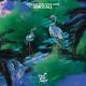 Panuma feat. Nina Carr - Birdcall