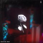 album image Roses Roses - Single