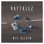 album image Nie Allein Nie Allein - Single