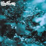 album image Chanel Banzai (Lato blu)