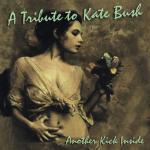 album image Running Up That Hill (Kate Bush Spite Tribute Mix) A Tribute to Kate Bush: Another Kick Inside