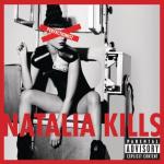 album image Mirrors Perfectionist