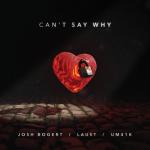 album image Can't Say Why Can't Say Why - Single