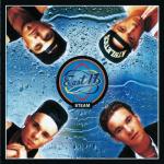 album image Let It Rain Steam
