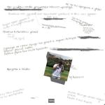 album image Аризона-бошки Аризона-бошки - Single