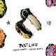 Trevor Daniel - Past Life