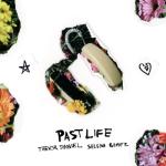 album image Past Life Past Life - Single