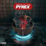 album image Woi Made In The Pyrex