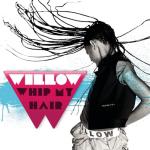 album image Whip My Hair Whip My Hair - Single