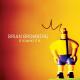 Brian Bromberg 2009 - Elephants On Ice Skates