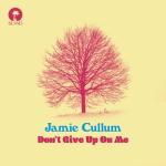 album image Don't Give Up On Me Don't Give Up On Me - Single
