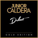 album image Can't Fight This Feeling Debut (Gold Edition)