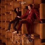album image Feels In My Body Feels in My Body - Single