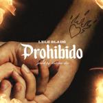 album image Prohibido Prohibido - Single