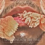 album image Still Sound (Instrumental) Underneath the Pine