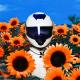 Whethan feat. K.Flay - Hurting on Purpose (feat. K.Flay)