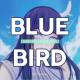ShiroNeko - Blue Bird (From "Naruto Shippuden")
