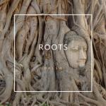 album image In This Shirt Roots