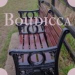 album image Gonna Go Wild Boudicca