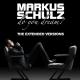 Markus Schulz - Rain