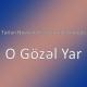 Meni sevmir o gozel yar - Meni sevmir o gozel yar