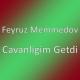 Feyruz Memmedov - Cavanligim Getdi Elimden (Remix) 2020 (Dj Tebriz)