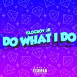 album image Танец живота Do What I Do - Single