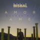 David Bisbal - Amor Ame