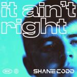 album image It Ain't Right It Ain't Right - Single